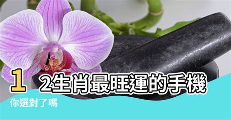 手機號碼生肖|12生肖最吉利的手機顏色和號碼，你選對了嗎？